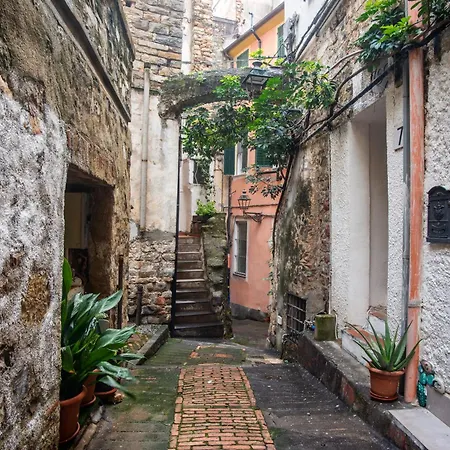 Casanova - Happy サンレモ